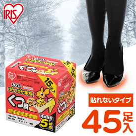 カイロ 貼らない 貼らないカイロ 靴用カイロ 45足 (15足入×3個) すべり止め付 足 足先 温める 使い捨てカイロ 貼れない 足用 屋外作業 レジャー 通勤 通学 冬 防寒 寒さ対策 PKN-15K アイリスオーヤマ ぽかぽか家族 #