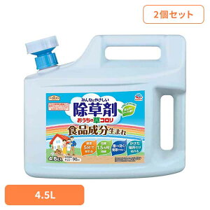  A[X K[fpi ̑R 4.5L×2Zbg A[XK[f EARTH [₭  Hi e WE n[u̍  RP[2512SX]