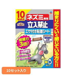 쏜 A[X ˂ݕ߂ lY~p֎~GTtSV[g 10Zbg A[XK[f EARTH [₭ UGT ϐ ܂ڕt lY~ ˂ 쏜