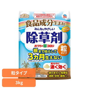  A[X K[fpi ̑R ^Cv 3kg A[XK[f EARTH [₭ Hi e   t[c̍ G _