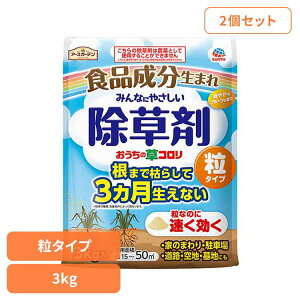  A[X K[fpi ̑R ^Cv 3kg×2Zbg A[XK[f EARTH [₭ Hi e   t[c̍ G _