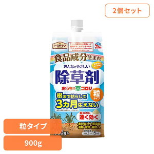  A[X K[fpi ̑R ^Cv 900g×2Zbg A[XK[f EARTH [₭ Hi   t[c̍ G _