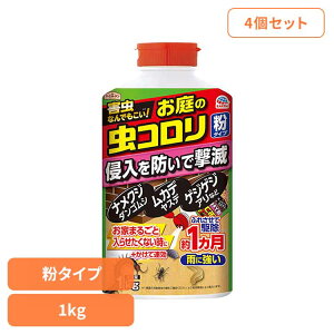 E A[X Qގ ̒R ^Cv 1kg×4Zbg A[XK[f EARTH [₭ 쏜 N\h Jɋ Q   Ő