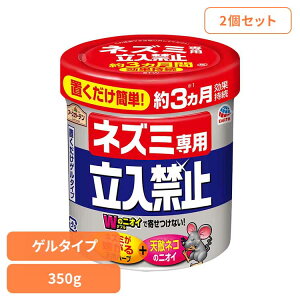 E쏜 A[X u lY~p֎~ Q^Cv 350g×2Zbg A[XK[f EARTH [₭ u^  Nh~ V䗠  u