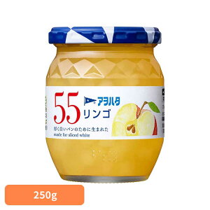 55 S 250G W S ʎ AIn^ r 55 250g  ь t[c An^
