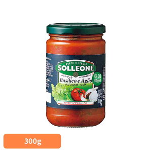 g}g\[XEoWRK[bN 1300420g}g\[X C^A ȒP pX^ sU JS P`bv fe pX^\[X ۑH 