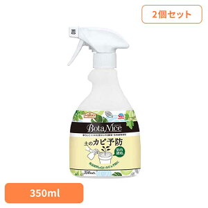 y2ZbgzỹJr\hXv[ A[X BotaNice {^iCX y Jr ϗtA A BotaNice