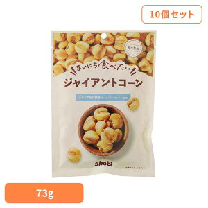 【10個】まいにち食べたい ジャイアントコーン ジャイアントコーン 岩塩 国内製造 食塩 正栄食品 大粒 とうもろこし まいにち食べたい 焙煎 個包装