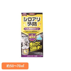 VAn^[ 񉌍 CJ CJ VA VA쏜 E  񉌍  \h Q