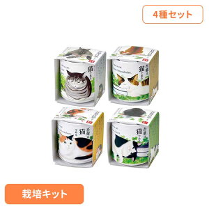 y4Zbgzł傱 yLi~gEo[EChXgx[EN[o[j ͔|Lbg ͔|Zbg ~g o[ ChXgx[ N[o[ V