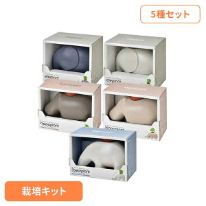 y5ZbgzAj}vgiGvg2Eq||vg2E|[[xAj ͔|Lbg ͔|Zbg n[u Ă Abv~g yp[~g ChXgx[ oW 