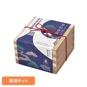 \_e}X ~͍͔|Zbg  GD-84601͔|Lbg ͔|Zbg  V| BONSAI qmL SEISHIN Mtg yY