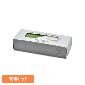 ~i KAWARA-BONKEI GD-1010͔|Lbg ͔|Zbg ~i V|  RP 뉀 OB ˏ Ă 蕨