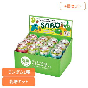 y4ZbgzĂJvZ T{e ͔|Lbg ͔|Zbg T{e V| SEISHIN K` ڂĂ Mtg gQgQ