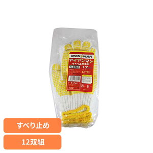 ACAp[~ߎ܁iACA}j 12og 3300R ~ߌR 12o F Obv ׂ~ ĂԂ Ɨp L^}