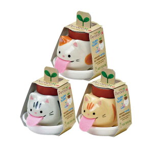 y3Zbgzy|Aj}Y/y|Lbc ͔|Lbg ͔|Zbg N[o[ oW ~g ChXgx[ animals cats  V| CeA SEISHIN y|Aj}Y 