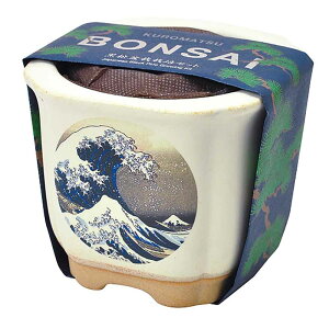 JAPANESE BONSAI  GD-64003 GD-64004 GD-64005 GD-64006͔|Lbg ͔|Zbg ~ V| a ܂ xmR ˂ yY SEISHIN gxm ԕxm L xmƔL