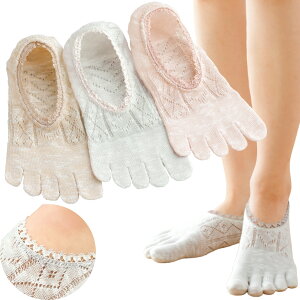 ȍ₩5{wJo[\bNX 3Fg C ȍ 5{w Jo[\bNX fB[X  [Xt pXeJ[ ėp ɂ 22cm 24.5cm ʋC K pvX [t@[ ItB