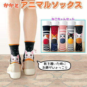 ƃAj} \bNX lR 5Zbg fB[X C 22-24.5cm AN Xj[J[\bNX C𗚂炪̂ 5g L ȍ ig lbg 郏