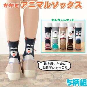 ƃAj} \bNX 񂿂 5Zbg fB[X C 22-24.5cm AN Xj[J[\bNX C𗚂炪̂ 5g L ȍ ig lbg 郏