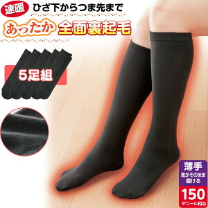 y10%OFFzۂۂNуnC\bNX 5g fB[X C 22-25cm G  150fj[  ubN g QƂ C ̂т̂уtBbg  ~p h ₦΍ 