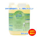【送料無料】大掃除 すす払い 除菌 消臭 防臭 防カビ 風呂 流し台 排水管 食器洗い 洗剤 洗浄剤 換気扇 ペット 洗濯機 トイレ 植物性 『手、環境、お財布にも優しい植物性多目的洗浄剤【SC-1000】5リットル』