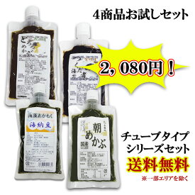 楽天市場 味噌汁 チューブの通販