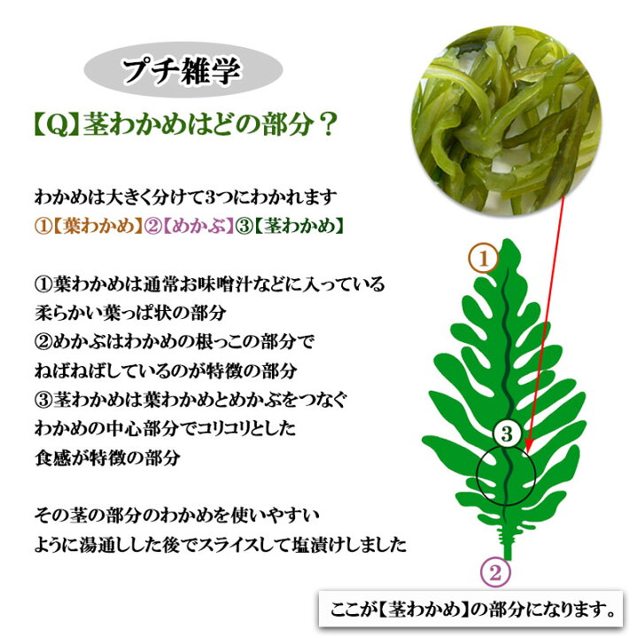 楽天市場 天草産 塩蔵 茎わかめスライス５００ｇ 海藻 わかめ 食物繊維 ビタミン ミネラル アンチエイジング デトックス コリコリ海藻 高木 海藻店