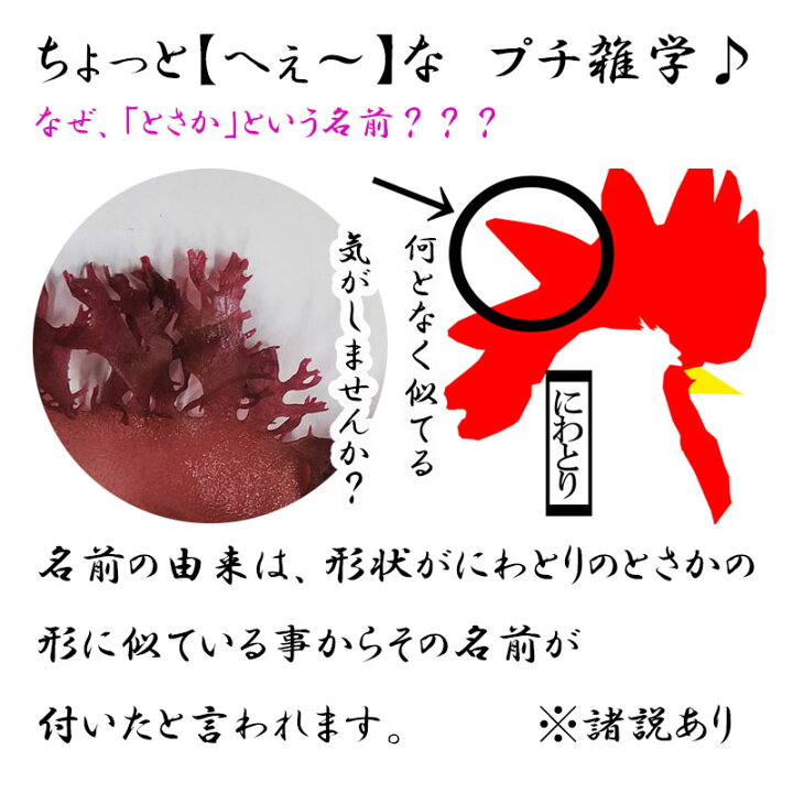 最終決算 白とさか 塩蔵品 白まふ 赤とさか 生こんぶ 500g 原材料名