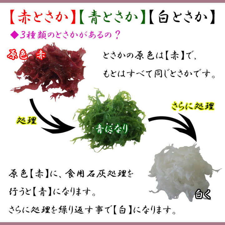 楽天市場 塩蔵赤とさか500g 国産 高級海藻 海のミネラル 海藻 高木海藻店