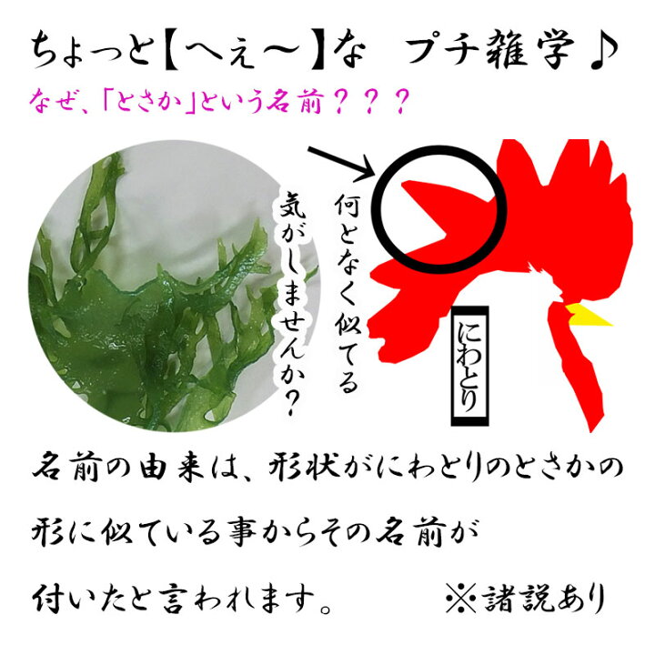 楽天市場 塩蔵青とさか500g 国産 高級海藻 海のミネラル 高木海藻店 楽天市場 塩蔵青とさか500g 国産 高級海藻 海のミネラル 高木海藻店