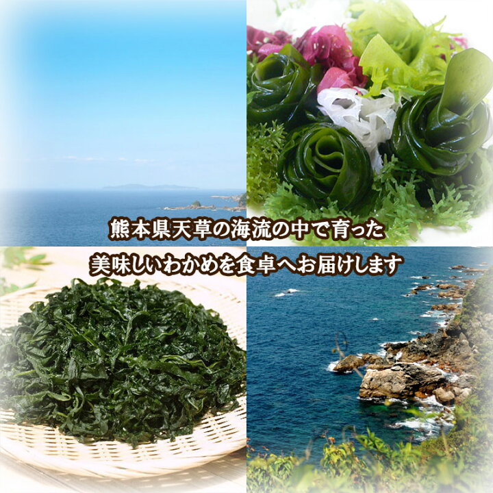 楽天市場 カットわかめ８ｇ ３袋入 贈答品にぴったり くまモンイラスト入 熊本県天草産 ちょうどいいサイズ ２袋までメール便対応可能 高木海藻店
