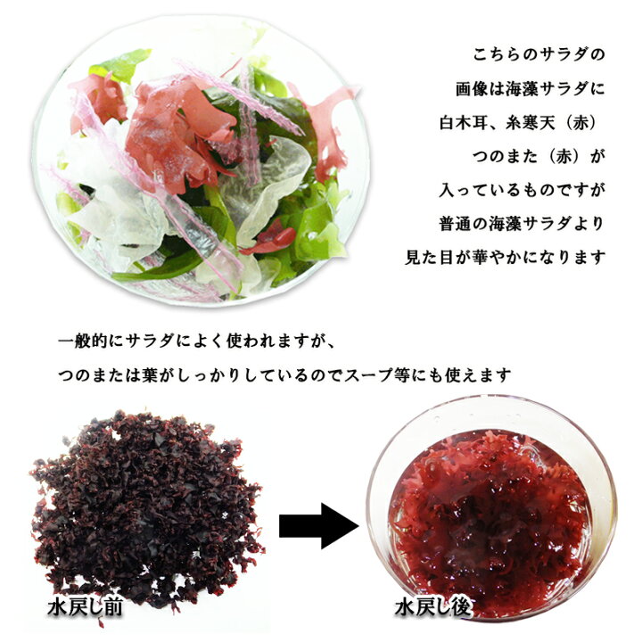楽天市場 華やか食材 つのまた 赤 20g 高級料理 お刺身のつま 3袋までならメール便対応可能 高木海藻店 楽天市場 華やか食材 つのまた 赤 20g 高級料理 お刺身のつま 3袋までならメール便対応可能 高木海藻店
