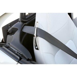 [eCNIt]V[gxgKCh @L880K@COPEN@Ry