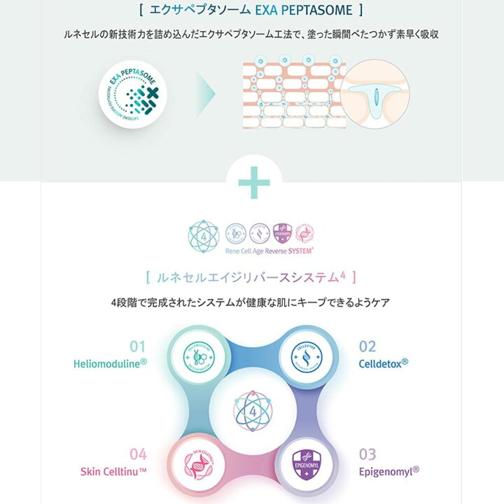 楽天市場】【ポイント3倍アップ】【Rene-Cell】ルネセル アブソーバー  
