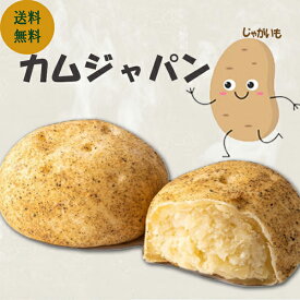 【ほくほく食感 】コグマパン カムジャパン 焼きたてパン 手作りパン 個包装 詰め合わせ ベーカリー さつまいもパン じゃがいもパン スイーツ プレゼント お取り寄せ 人気 新発売 大容量 高級 おやつ 送料無料