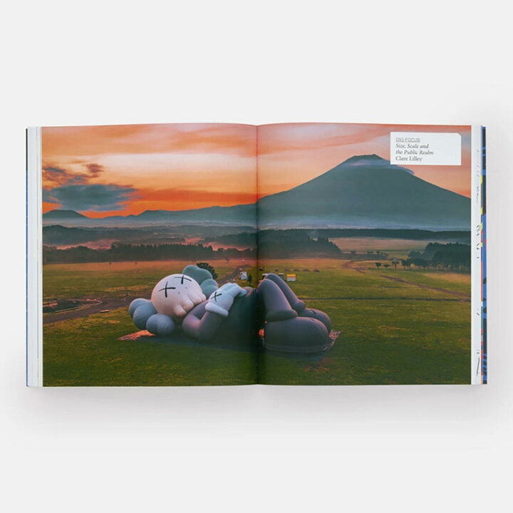 楽天市場】KAWS カウズ 作品集 : 京都 蔦屋書店 