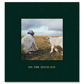 【著者サイン入】ON THE SIXTH DAY by Alessandra Sanguinetti