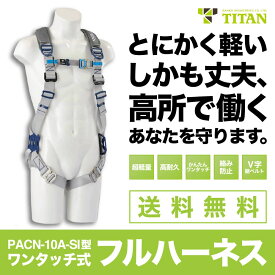 TITAN（サンコー）【PACN-10A-SI型】フルハーネス新規格品Mサイズ※本体のみ※使用可能な質量：130kg※お客様都合による返品不可※受注生産品の為、納期1～2か月程かかります