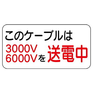 jbg(UNIT)y325-11zdC֌WW@̃P[úc