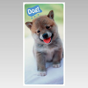 jbg(UNIT)y915-43ztHgWCV[@