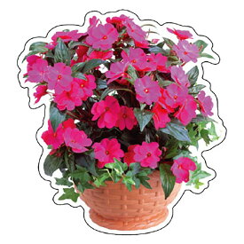 ユニット(UNIT)【915-77】フォトジョイシール　インパチェンス