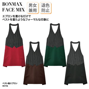 xXgGv XgCv EGCgX X  ~[ H Xg JtF Fɂ bh  O[  uE  ubN  jp BONMAX FACE MIX FK7176 hJ vg