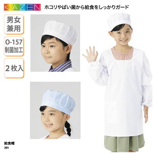 yyVLOX1ʎ܁zHX KAZEN Xq H  zV jq q qǂ p 2 w w ۈ牀 ct  O-157 傫TCY J[ 391 ubNtCf[