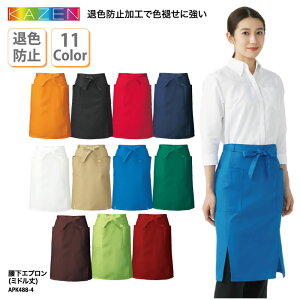 Gv KAZEN  O| ~h  uE zCg Jt ސFh~ Fɂ  ~[ H JtF jp J[ APK488 hJ vg ubNtCf[