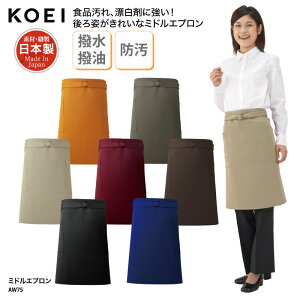 Gv KOEI ~h O|  { ChCWp  ~[ H JtF jp   h AW75 hJ vg ubNtCf[