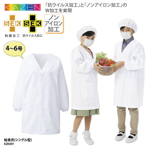 Gv KAZEN H REBXH mAC  jp wZ w  qǂ HGv 140 150 155 ۉH J[ KZN397 ubNtCf[