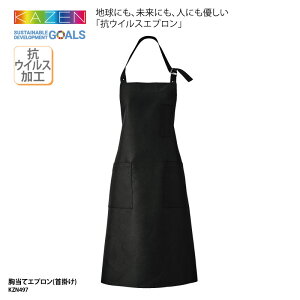 Gv KAZEN O|  | REBXH  ubN X^_[h Xg JtF jp J[ KZN497 ubNtCf[