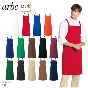 Gv | O| ~h   Jt F ͂   ~[ z[ H Xg JtF T jp `gZ A arbe T-63 ubNtCf[