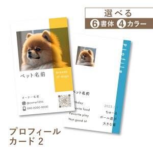 ybg h h쐬 ʐ^ ybgh vtB[ J[h CX^ QR VbvJ[h   sN F c^ c h ȒP Z J[ R[|CgJ[ g 쐬 Vv